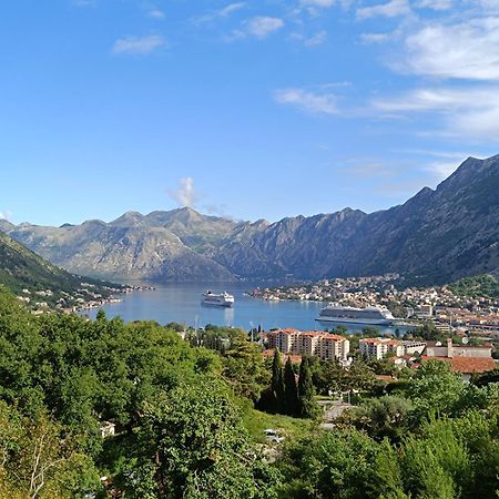 Radgost Kotor Apartments Exteriér fotografie